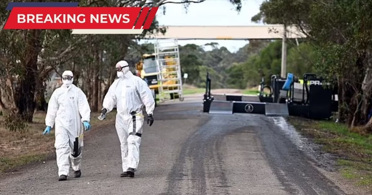 copy of single image thumbnail 1200 x 630 2 2.jpg?resize=412,275 - Experts Issue Terrifying Warning to America: Prepare for Pandemic NOW As New Virus Spreads to All 50 States