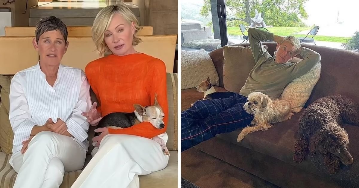 copy of articles thumbnail 1200 x 630 68.jpg?resize=412,232 - Ellen DeGeneres Hit By Heartbreaking Tragedy After FLEEING Hollywood