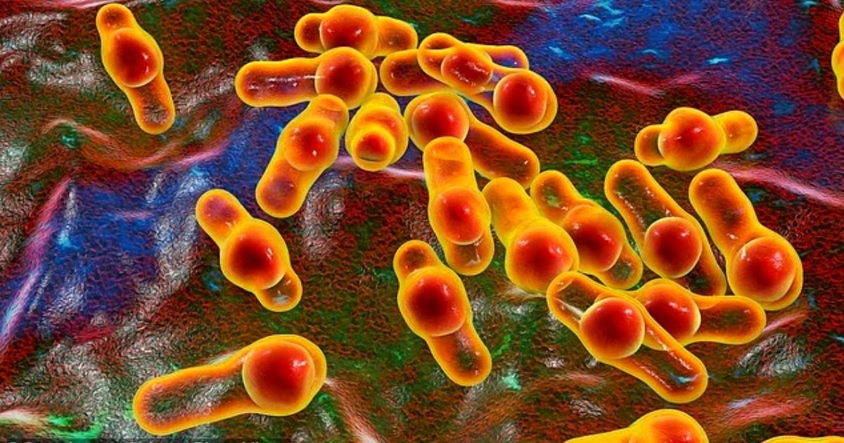 copy of articles thumbnail 1200 x 630 99 5.jpg?resize=1200,630 - Urgent Vaccination Warning for Travelers Visiting Popular Tourist Destination as Outbreak on the Rise