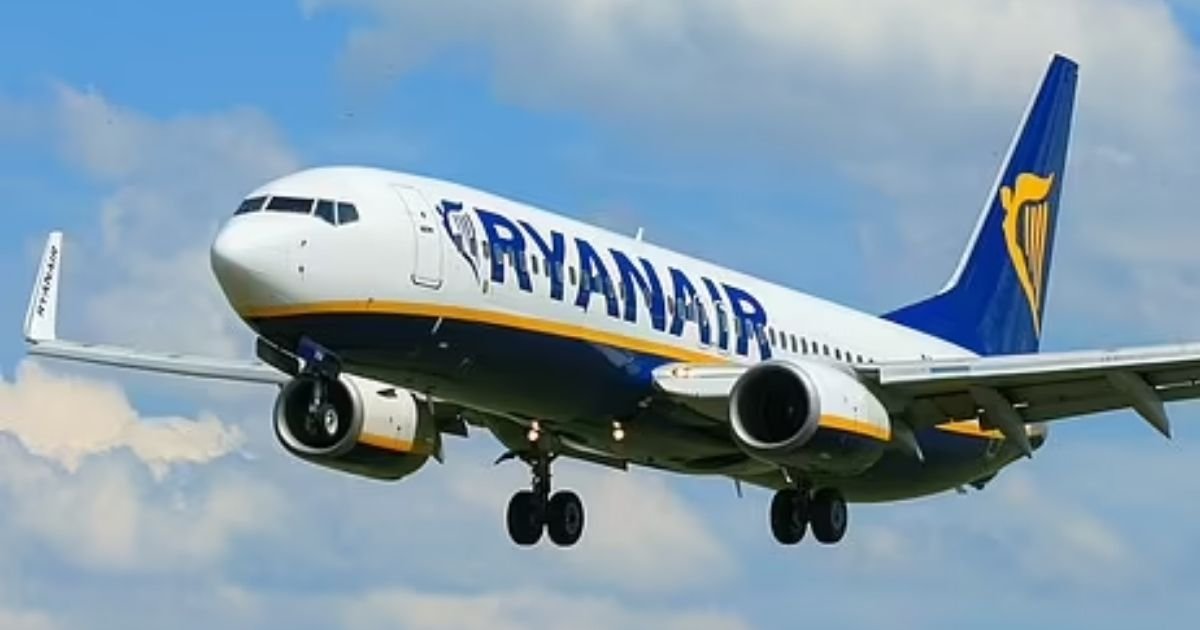 copy of articles thumbnail 1200 x 630 2025 07 06t183730 163.jpg?resize=412,232 - Passengers Break Bones While Trying To Flee 'Burning Plane' By Jumping From Wing in Terrifying 'False Alarm' Incident