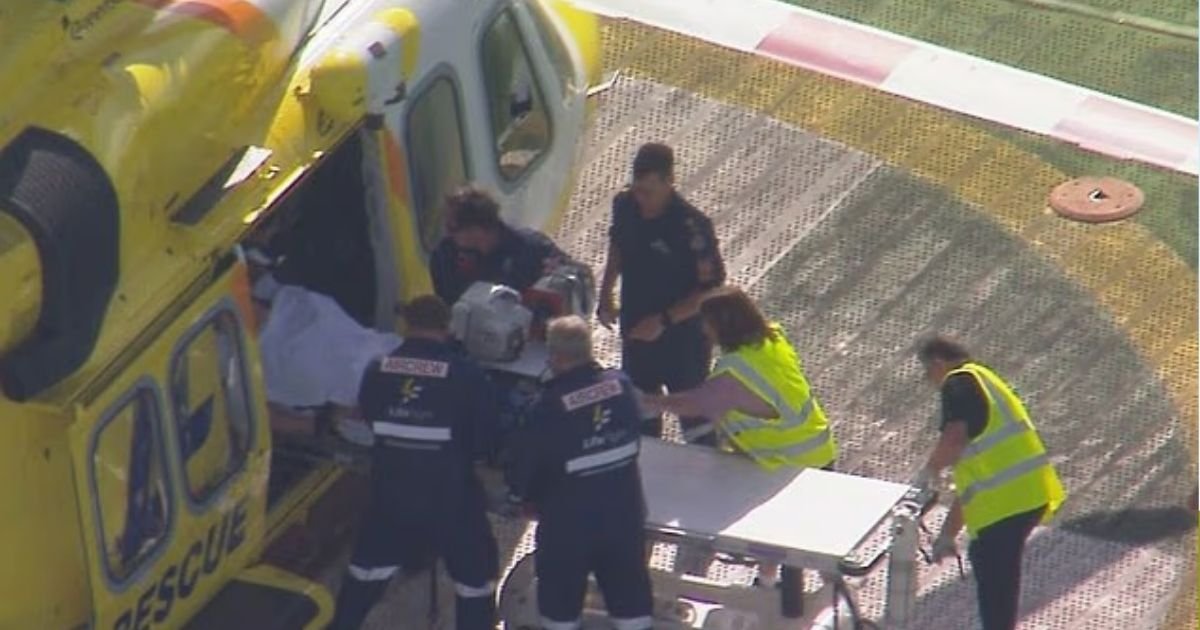 copy of articles thumbnail 1200 x 630 2025 07 08t130701 855.jpg?resize=412,232 - Woman Airlifted to Hospital After Losing Arm In Lion Attack at Zoo