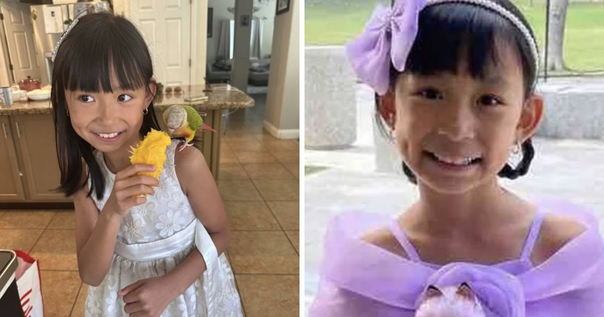 copy of articles thumbnail 1200 x 630 2025 07 11t132842 237.jpg?resize=412,232 - 8-Year-Old Californian Girl Tragically Passes Away After Being Struck by July 4th Firework