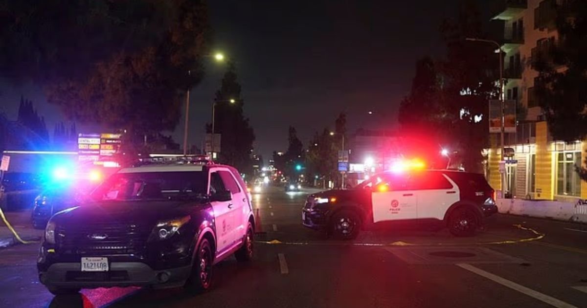 copy of articles thumbnail 1200 x 630 2025 07 20t142215 601.jpg?resize=412,275 - Vehicle 'ploughs into crowd' in Los Angeles to injure at least 31 - with three fighting for life