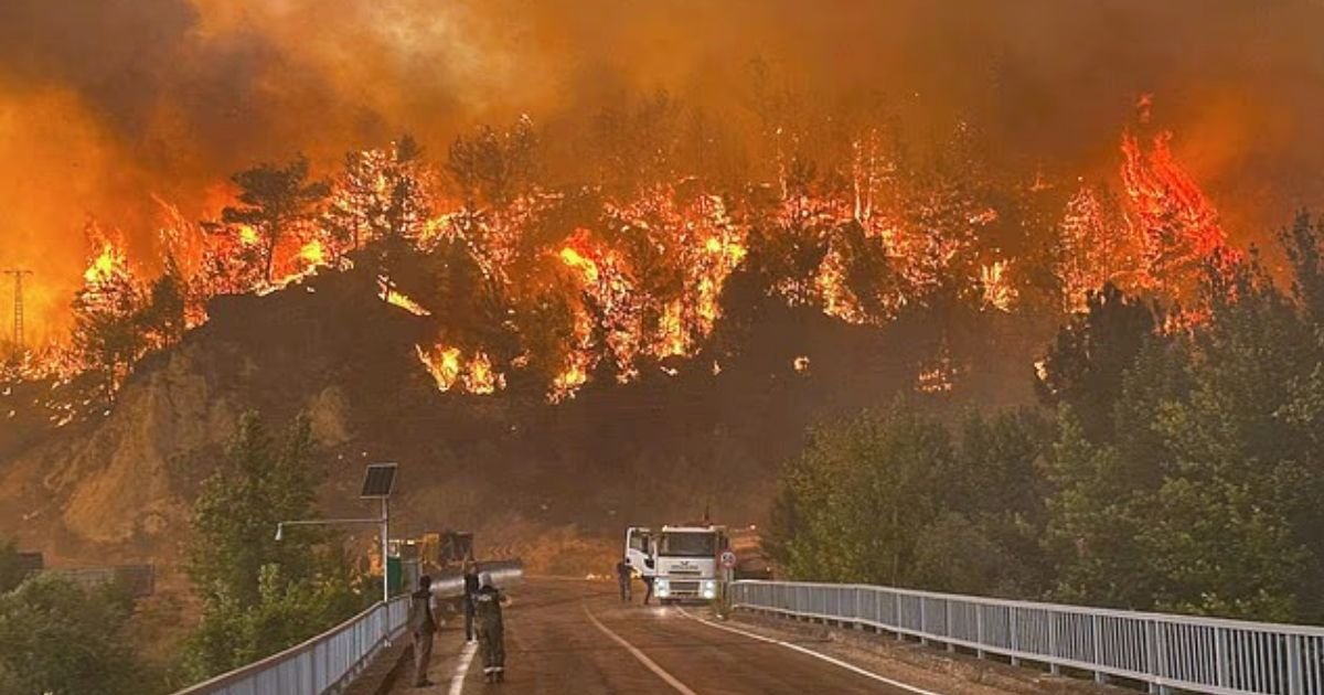 copy of articles thumbnail 1200 x 630 2025 07 24t131913 152.jpg?resize=412,232 - Out-of-Control Wildfires Destroy Tourist Town As Two People Burned Alive While Trying To Flee