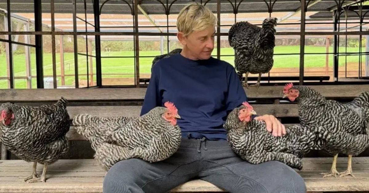 copy of articles thumbnail 1200 x 630 2025 07 31t161013 830.jpg?resize=412,232 - Adam Carolla recalls Ellen DeGeneres’ staff ‘cowering’ in fear on talk show set: ‘She’s not a nice person at all’