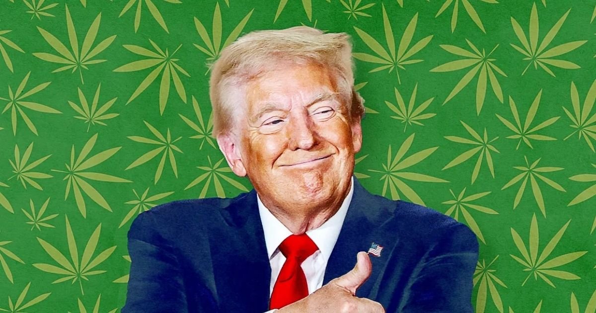 copy of articles thumbnail 1200 x 630 100 6.jpg?resize=412,232 - ‘Money Matters’- President Trump Slammed for Considering to Reclassify Marijuana as ‘Less Dangerous Drug’