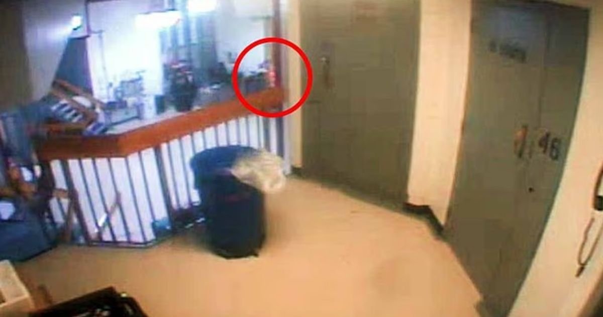 copy of articles thumbnail 1200 x 630 2025 07 31t160448 772.jpg?resize=412,232 - Mystery orange blob on the last jail footage of Jeffrey Epstein before he 'hanged himself' sparks new questions over his death