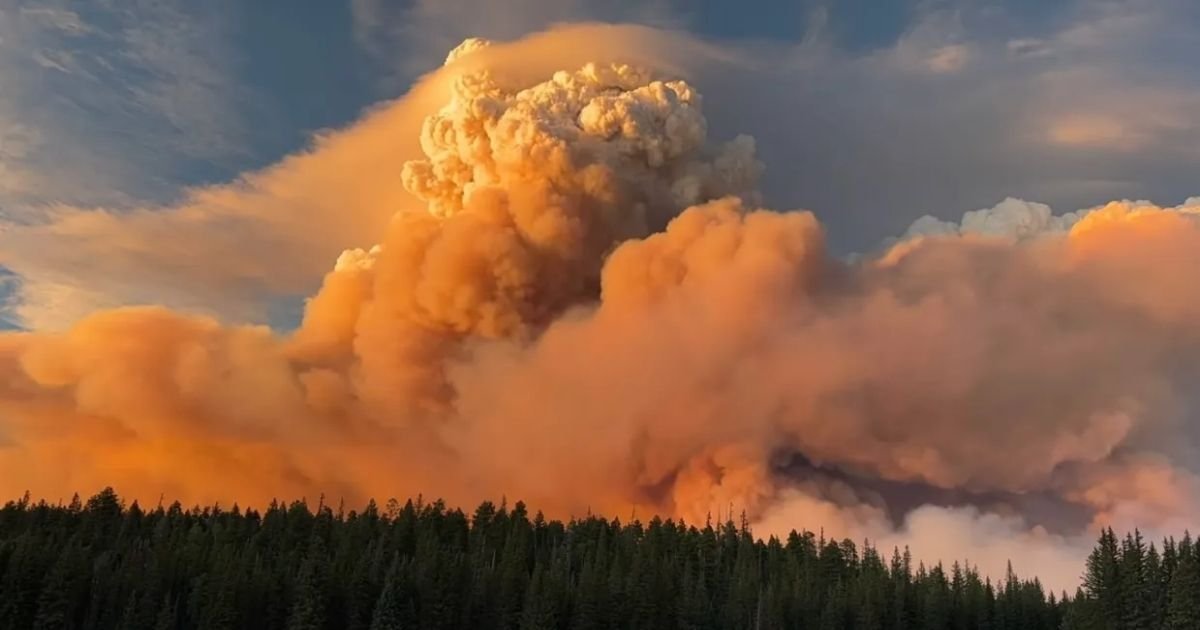 copy of articles thumbnail 1200 x 630 2025 08 04t174255 350.jpg?resize=412,275 - Horrifying footage shows first ‘megafire’ of year with Grand Canyon at risk as historic landmark already burned down