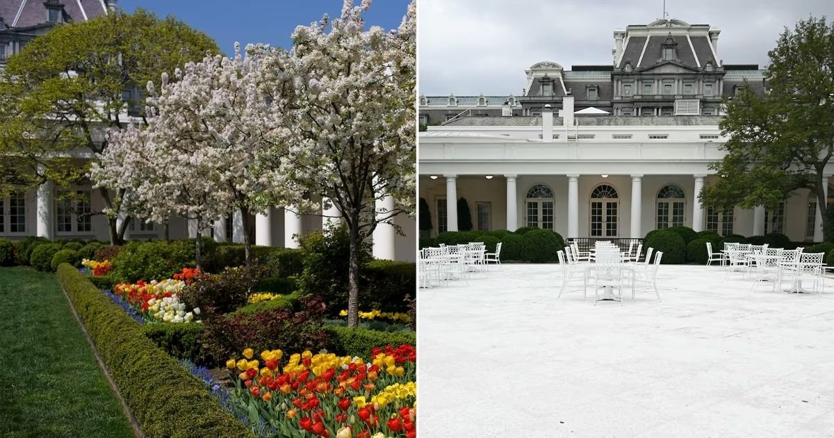 copy of articles thumbnail 1200 x 630 2025 08 06t132948 829.jpg?resize=412,232 - Trump Slammed for Turning Rose Garden Into ‘Parking Lot’