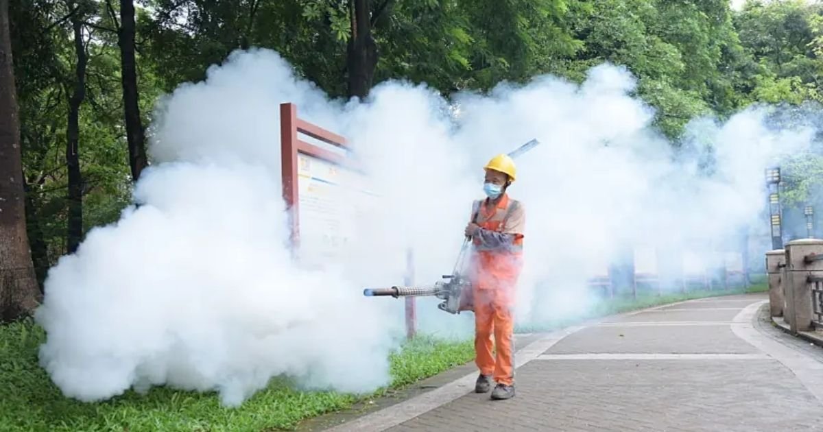copy of articles thumbnail 1200 x 630 2025 08 14t164243 004.jpg?resize=412,232 - Shocking photos of Chikungunya virus emerge as 'Covid like measures' are taken in China