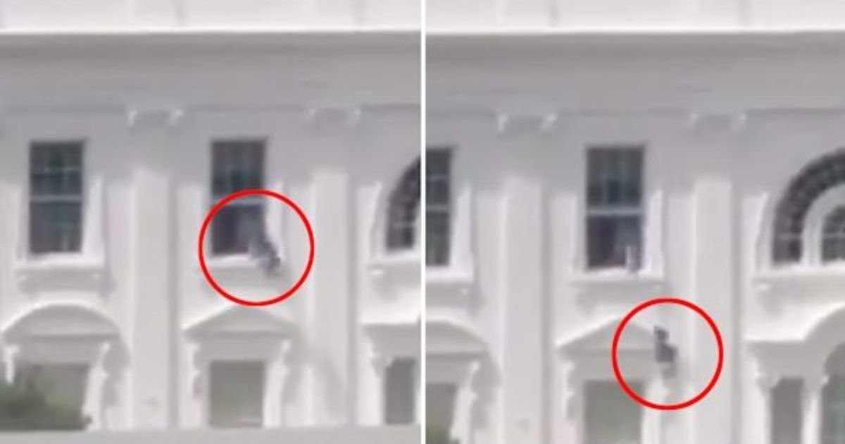 copy of articles thumbnail 1200 x 630 2025 09 03t153943 177.jpg?resize=412,275 - White House Reveals Why Mystery Objects Were Thrown Out Window