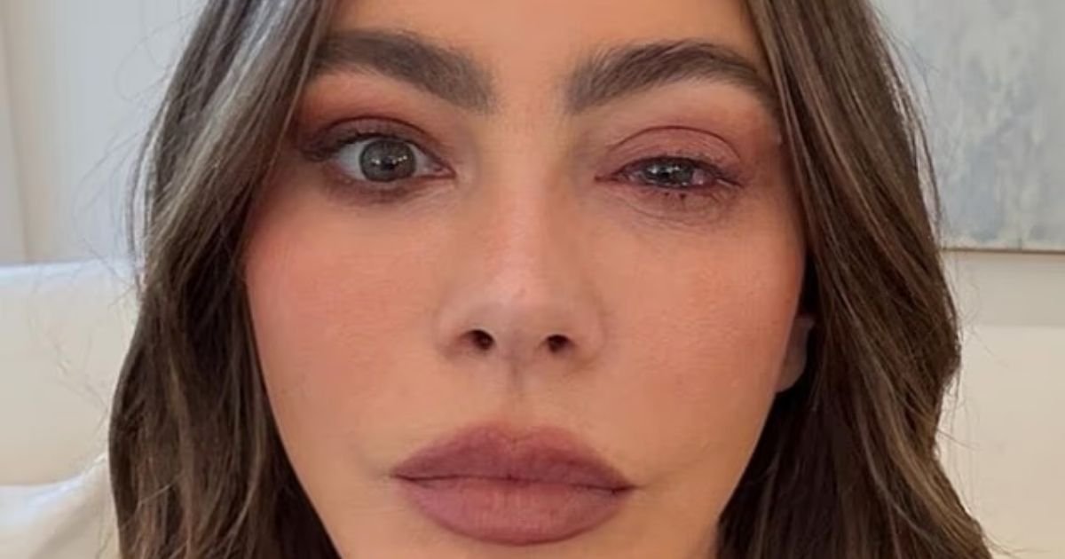 copy of articles thumbnail 1200 x 630 2025 09 15t125417 911.jpg?resize=412,232 - Sofia Vergara Shares She Was Rushed to the ER for Medical Emergency Instead of Emmys